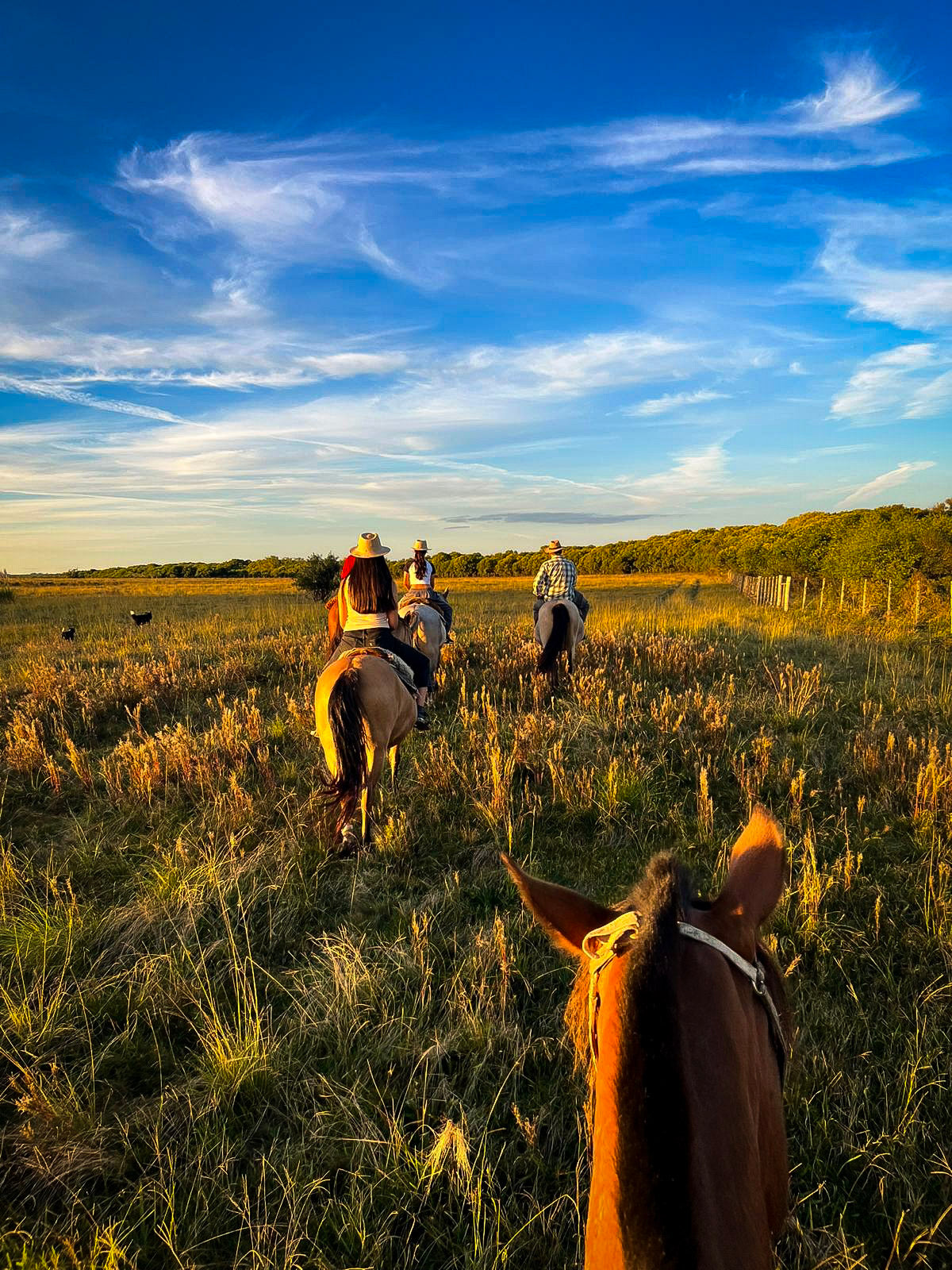 Uruguay Countryside Retreat: Estancia El Ceibo