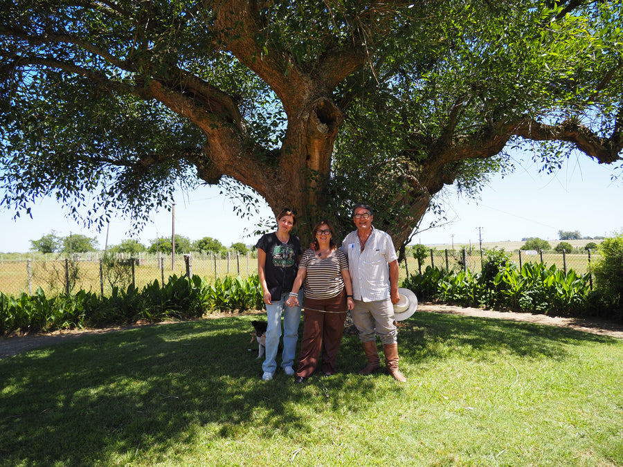 Estancia El Ceibo photo 3